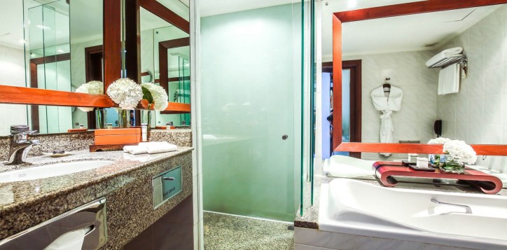 executive-room-bathroom-2