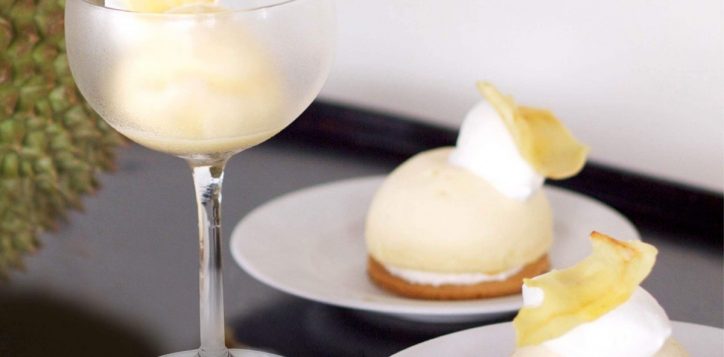 1040x1040-durian-no-text-2